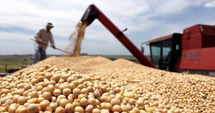 Decomisaron más de 195 toneladas de soja a granel sin aval fiscal en Misiones