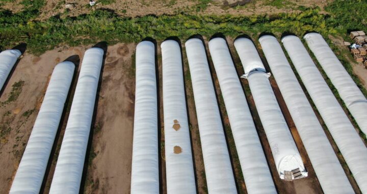 AFIP incautó 1.500 toneladas de maíz de empresa agrícola por falta de documentación
