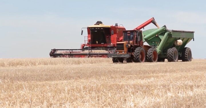 Diputados coinciden en la importancia de avanzar con la ley de Agroindustria