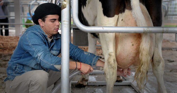 Massa anuncia medidas para el sector lechero