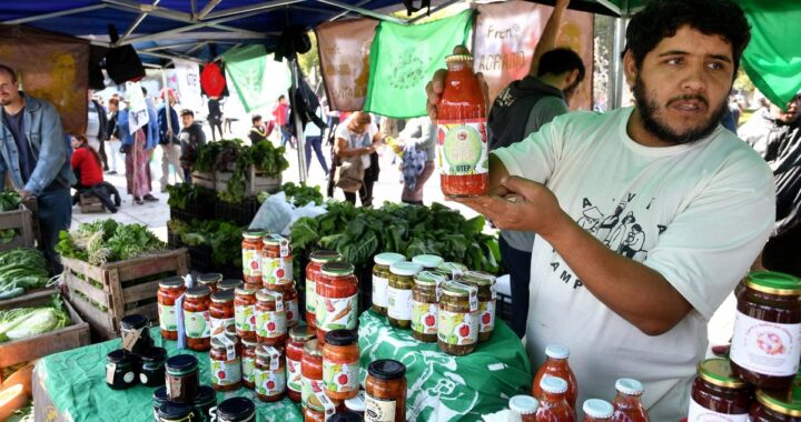 Feriazo de navidad a precio popular en Plaza Congreso