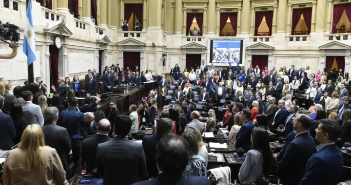 Veto a la ley universitaria: los diputados que dieron vuelta la votación a favor del oficialismo