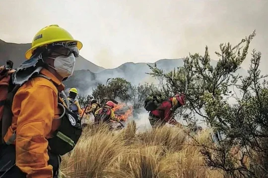 Incendios en Córdoba: declararon la emergencia ambiental