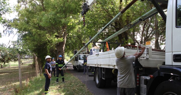 Plan integral de alumbrado público: La Plata avanza con tareas en zonas clave