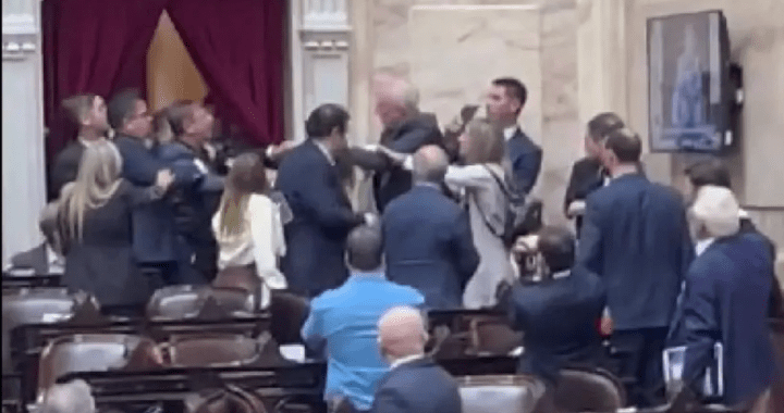 Violencia dentro y fuera del Congreso: dos diputados se agarraron a piñas en la Cámara baja