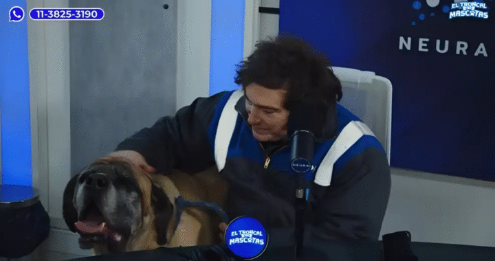 Estaba vivo: Milei reapareció con el clon de Conan