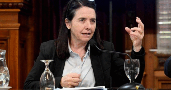 Senadora libertaria hizo un papelón al aire y justificó de manera absurda la motosierra con los jubilados