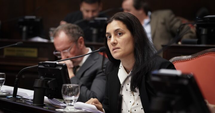 Vannelli: «En las próximas elecciones es Milei o nuestra patria»