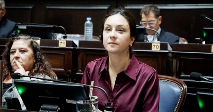Apuran una ley que frena en la Provincia los abusos de precio de la nafta