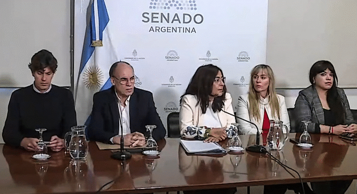 «Anticonstitucional»: senadores rechazaron el ataque del Gobierno a la libertad de expresión