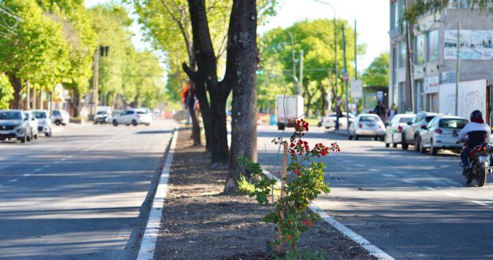 Quedó habilitada la segunda etapa de la avenida 60 en Los Hornos