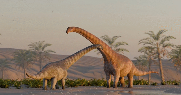 El Conicet sale a cazar dinosaurios en vivo: cómo ver el stream de la Expedición Cretácica I