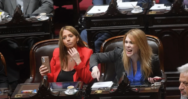 La casta libertaria fue la que menos trabajó en el Congreso en los últimos diez años