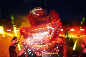 El festejo más grande del continente: el año nuevo chino en La Plata reunió a más de 700 mil asistentes