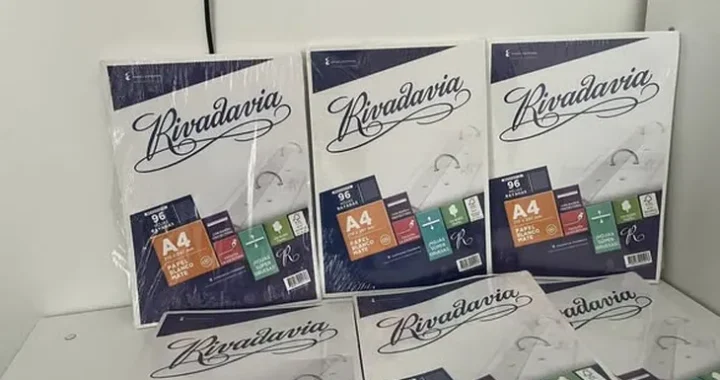 Vuelta a clases en picada: hojas Rivadavia tuvo una caída abrupta en las ventas y perdió $1.418 millones