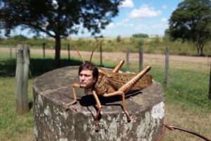 Ahí viene la P.L.A.Ga