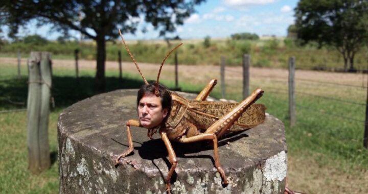 Ahí viene la P.L.A.Ga