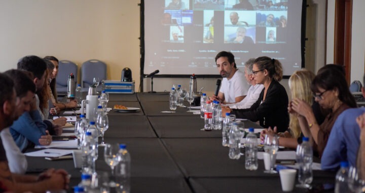 Las provincias rechazaron la reforma de salud mental que impulsa Milei