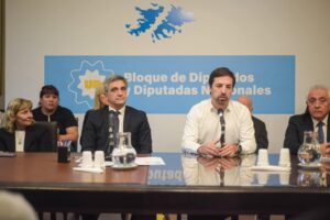 Crisis sanitaria: el ministro Kreplak llevó el diagnóstico de los municipios bonaerenses al Congreso