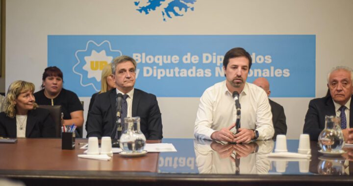 Crisis sanitaria: el ministro Kreplak llevó el diagnóstico de los municipios bonaerenses al Congreso