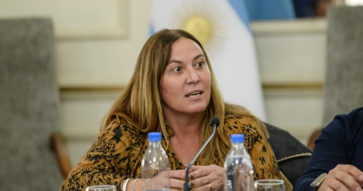 Arata cruzó al Gobierno nacional por recorte del plan Remediar: «La salud no puede ser la variable de ajuste»