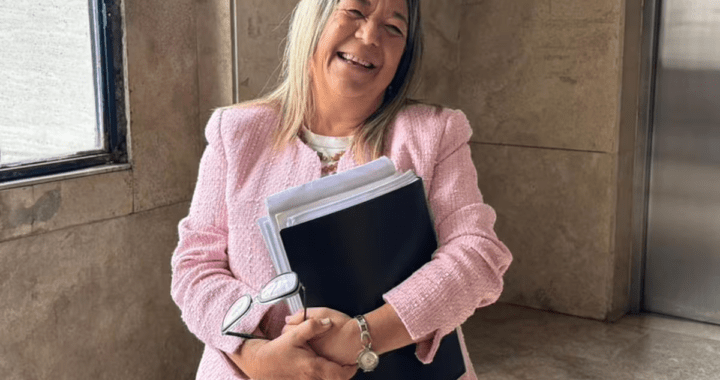 No aclares que oscurece: la escribana de Adorni admitió que no controló el origen del dinero