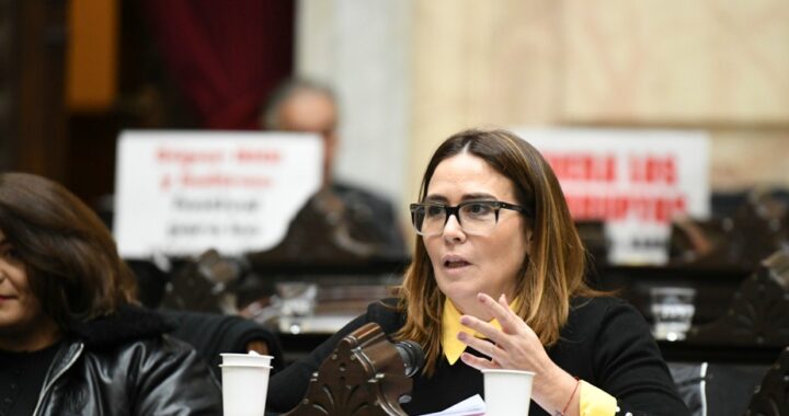 Jimena López cruzó al «modelo que destruye los ingresos» del Gobierno por la morosidad de las familias