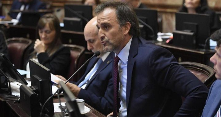 Benegas Lynch, el senador que defendió su voto para hacer negocios