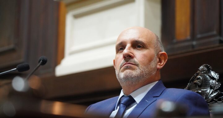 Alexis Guerrera: «Todo lo que no se pueda solucionar en una mesa de negociaciones se solucionará en una PASO»