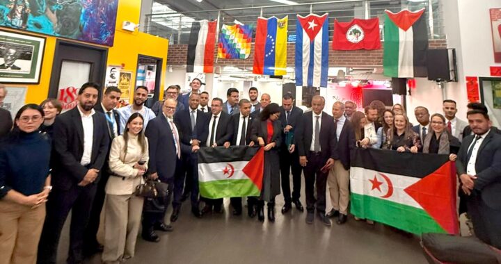 ATE participará de la Cuarta Comisión de la Asamblea General de las Naciones Unidas