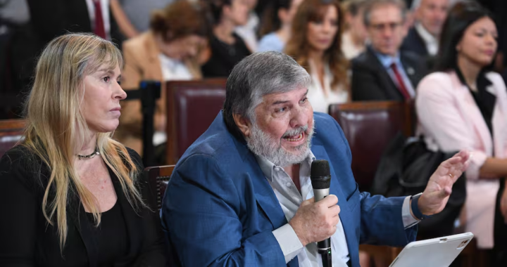 Ley de Tierras: el peronismo busca revertir el DNU de Milei tras el fallo de la Corte